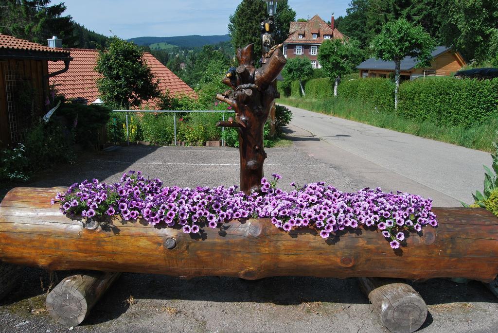 Pension Restaurant Waldblick Feldberg  Exterior foto
